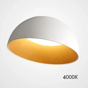 Изображение Потолочный Светильник Bara A D35 White 4000К By Imperiumloft