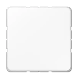 Изображение Заглушка с опорной пластиной CD594-0WW CD 500